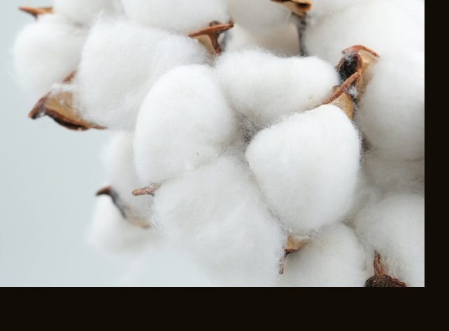 Material — Cotton