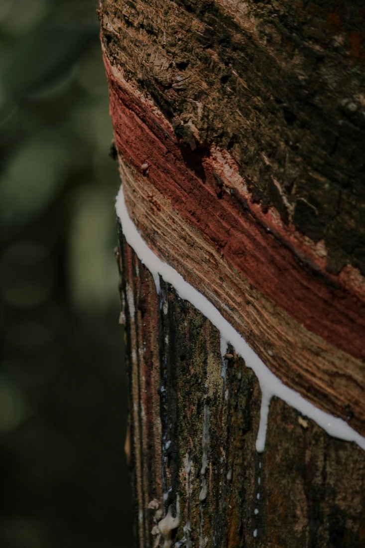 Material — Natural rubber