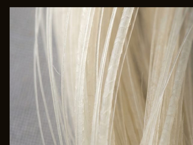 Material — Horsehair