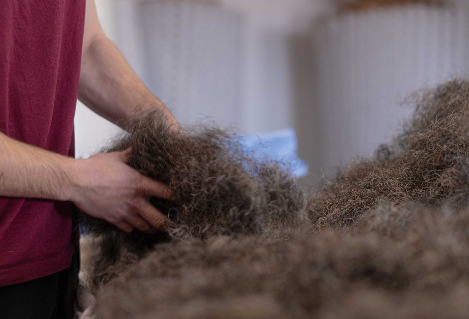 Preparing horsehair